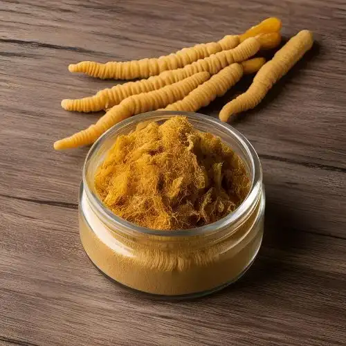 Using Cordyceps Militaris Extract for Longevity in Traditional Medicine